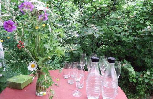 Ferienhof Rauchhaus - Foto 43