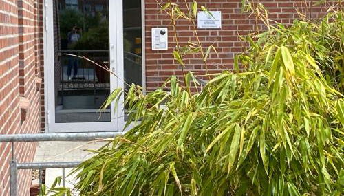 Ferienwohnung Juliantje 15205 - Foto 4