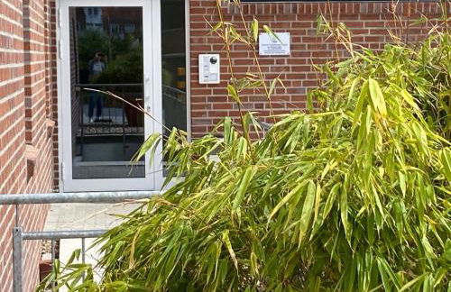 Ferienwohnung Juliantje 15205 - Foto 4