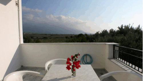 Studios Akrogiali - Photo 2, Garden view