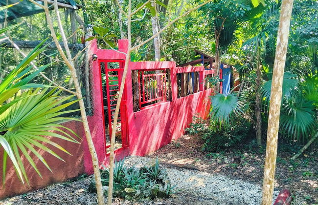 Hotel y Temazcal en Solferino - Foto 78