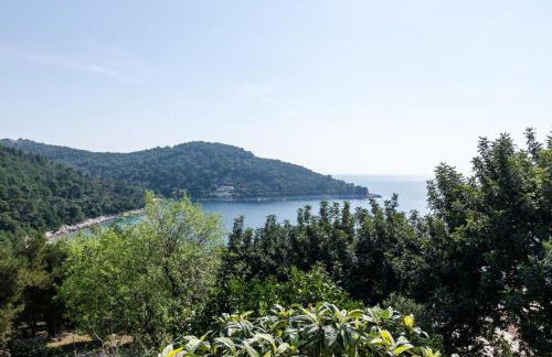 Guest House Kralj - Photo 36