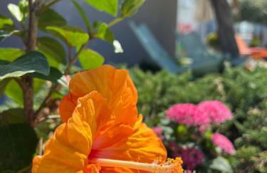 Thassos OLIVIA RESORT - Foto 11