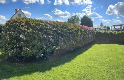 Schlossblick Braunfels - Foto 14