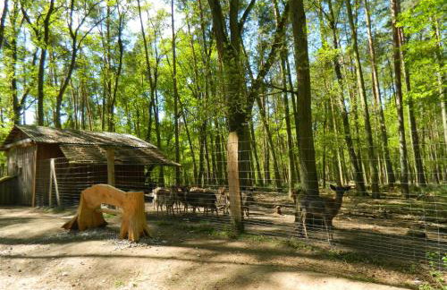 'kiek In' Fewo Schellberg - Foto 24