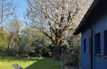 Blaues Haus - kleinere Doppelhaushälfte in Stadtkernnähe mit traumhaftem Bad und Küche - Foto 22