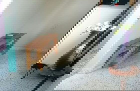 Holiday rental in Camaguey with terrace - Foto 7