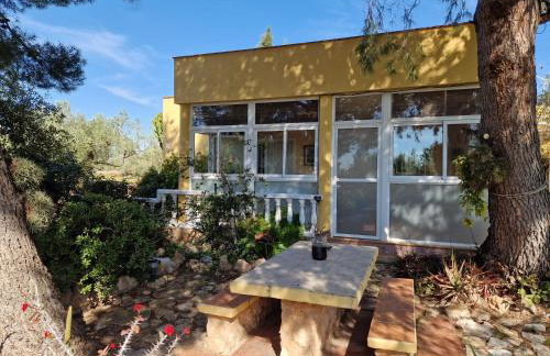 Lo Racó de Peret - Foto 23