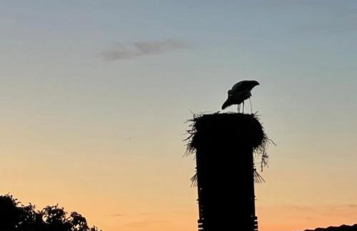Ferienidyll in Gielow an der Seenplatte - Photo 23
