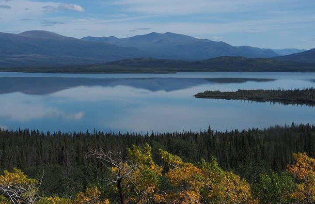 Kluane National Park Day Trip - Photo 12