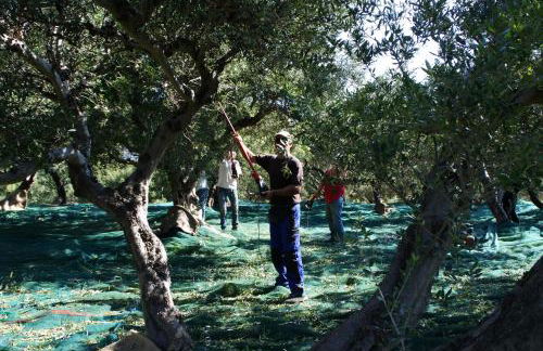 Thalassa Villa - Photo 80