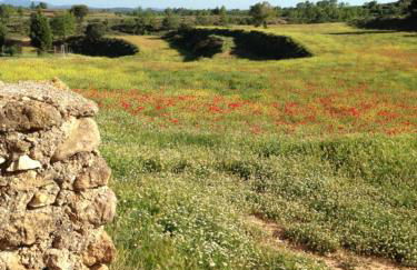 Mas de Leon - Foto 130