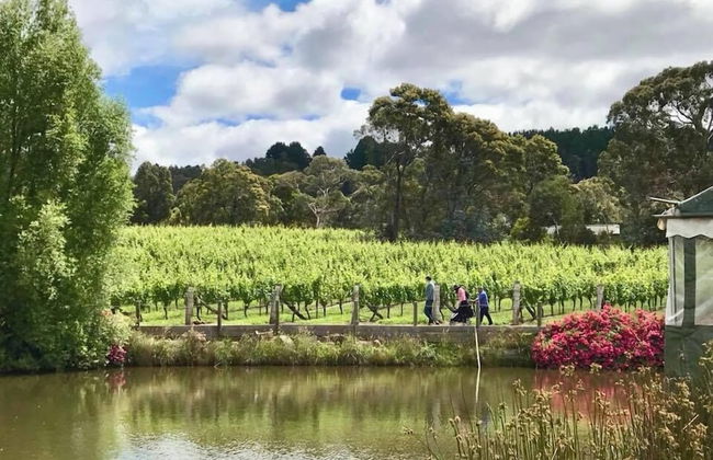 Gisborne Peak Winery Cottages - Foto 27