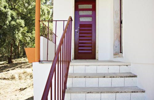 Quintinha Vale dos Pinheiros - Foto 36