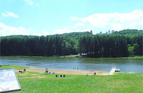 Secluded Cabin Nestled in the Mountains near the Tioga State Forest, Pennsylvania - Foto 43