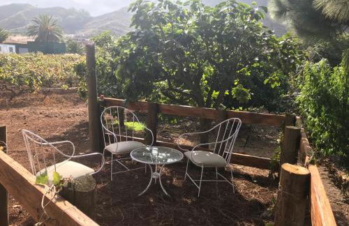 Finca El Vergel Rural - Photo 5