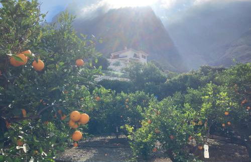 Casa Camino Tamadaba II (bottom home) - Foto 50