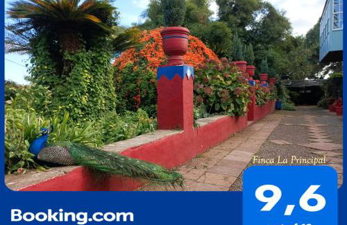 Finca La Principal - Foto 7