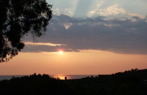 Residence La Giungla - Foto 23