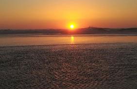 Camarção Violante - Foto 32