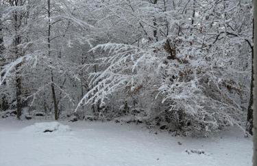 Lux Home 5 min to Train and Airport - Foto 17