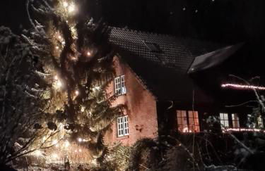 4 Sterne-Haus am See - Foto 65