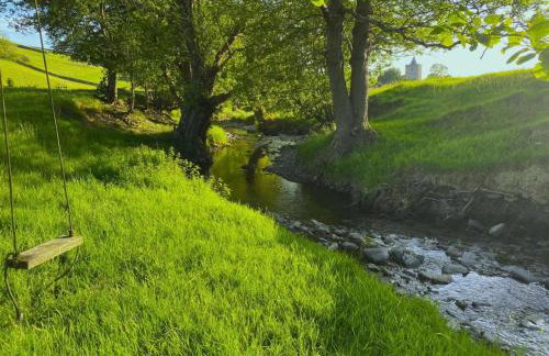 1 Bed in Llanfihangel-y-Creuddyn oc-c34624 - Foto 16