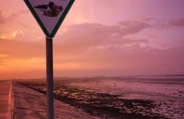 Kleine Ella Pellworm - Foto 8