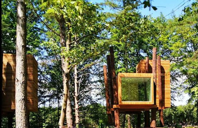 Treeloft Adventure in Nature for 4 People 8 - Foto 8