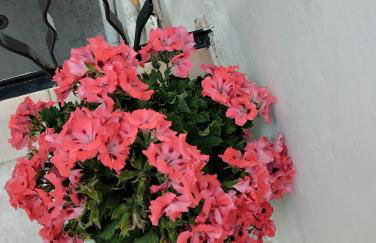 L' Archè Monolocale - Foto 11