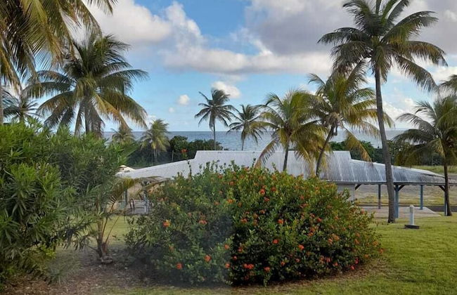 Kaz ananas passion - Photo 25