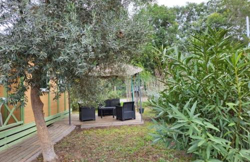 Chalet climatisé avec patio en Haute Corse 5 couchages - Foto 3