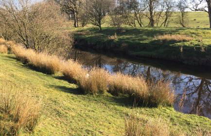 Ingledale Apartment, Ingleton, Yorkshire Dales National Park, Famous Three Peaks, Near The Lake District, Pets Are Welcome - Foto 49