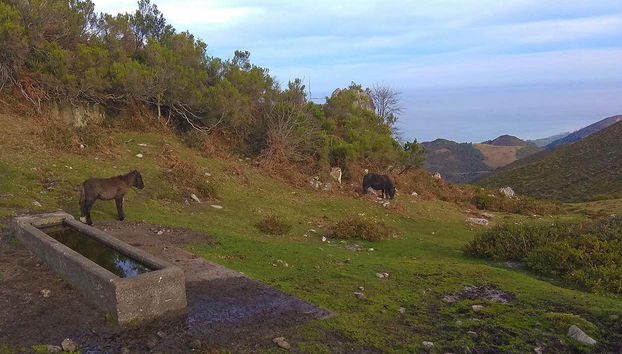 Pienzu Peak Hiking Tour - Photo 4, Experience the best of Asturias