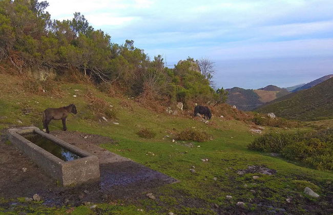 Pienzu Peak Hiking Tour - Photo 4