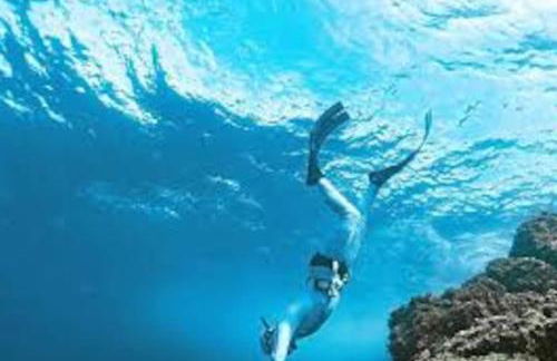 Gîte entre Mer et Abers - Foto 34