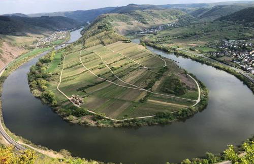 FeWo Kaamter F erkelsmarkt - Foto 39