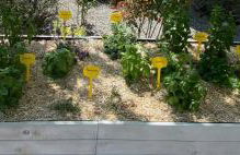 Gîte Lavandin 2 - Foto 15