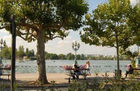 Promotion du Jour - Studio Le Rosier - - Foto 15