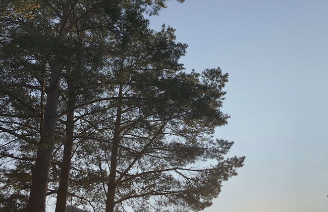 Great Stay Guest House Sandviken - Photo 20