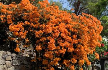 El sosiego, der Rückzugsort - Foto 58