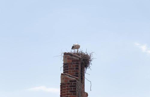 Ferienwohnungen MARKT 1 am Rathaus Tangermünde - Foto 25
