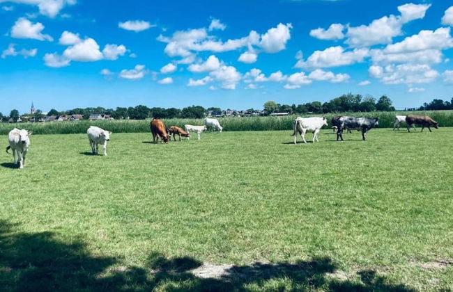 Cottage in Menaam Near Frisian Landscape - Foto 33