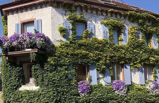 Holiday Apartment Monet in Oberrotweil - Foto 20