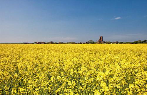 Gud Jard Lodge Nr 30 - Design-Ferienhaus mit exklusiver Ausstattung - Foto 37