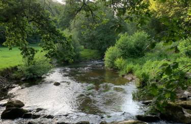 Brittany Countryside Retreat 3 Bedrooms Sleeps 6 Pet Friendly Heated Swimming Pool Free Wifi - Foto 31