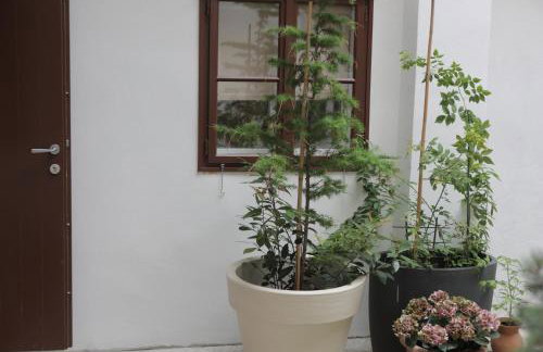 Apartment Addressa - Foto 4