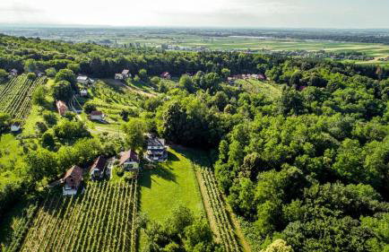 Greenwood 84 - Foto 55