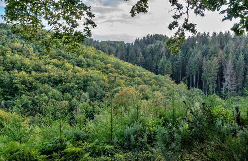 Finest Retreats - Forest Park Lodge - Foto 25