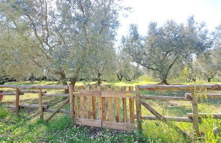 La buona sosta sulla Francigena - Photo 19